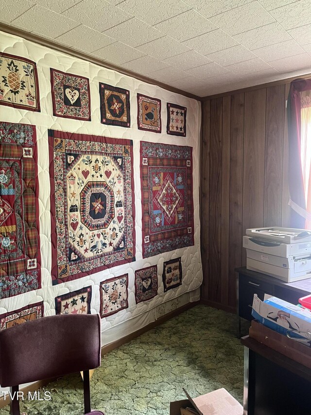 4235 Kiser Rd, Coeburn, VA 24230 - detailed view of carpet