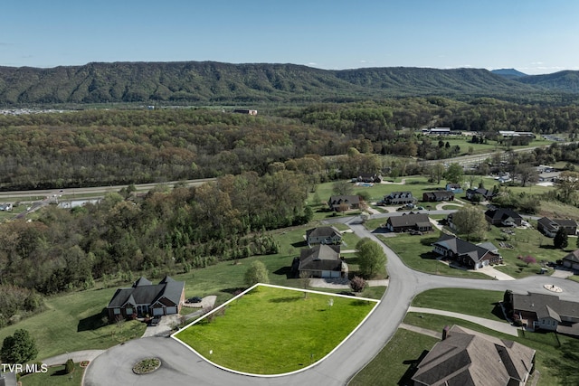 307 Carrie Cir, Mount Carmel, TN 37645 - photo 2