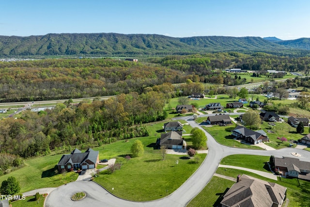 307 Carrie Cir, Mount Carmel, TN 37645 - photo 1