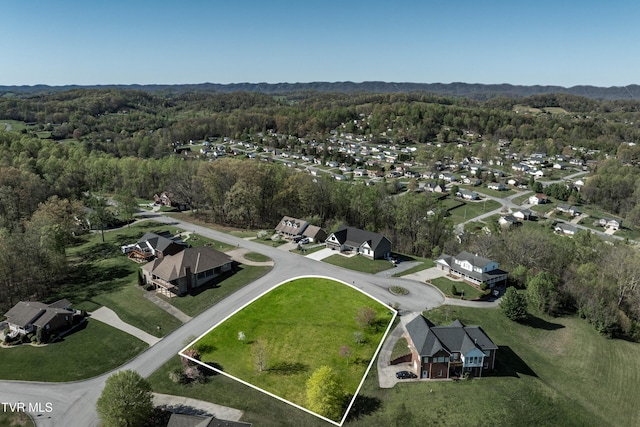 307 Carrie Cir, Mount Carmel, TN 37645 - photo 4
