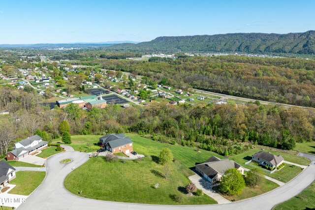 307 Carrie Cir, Mount Carmel, TN 37645 - photo 6
