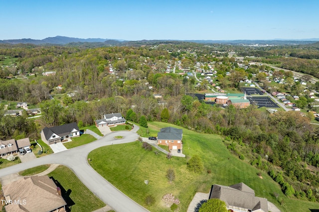 307 Carrie Cir, Mount Carmel, TN 37645 - photo 7