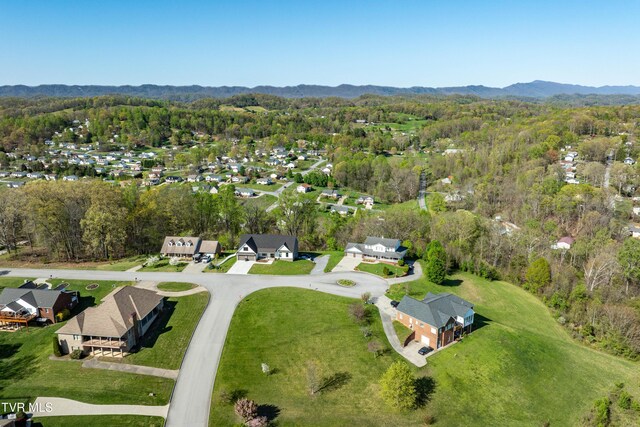307 Carrie Cir, Mount Carmel, TN 37645 - photo 8
