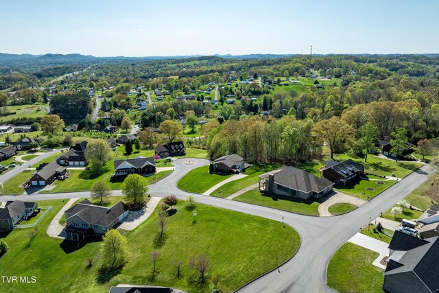 307 Carrie Cir, Mount Carmel, TN 37645 - photo 10
