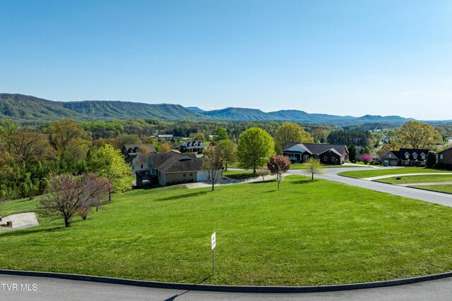 307 Carrie Cir, Mount Carmel, TN 37645 - photo 11