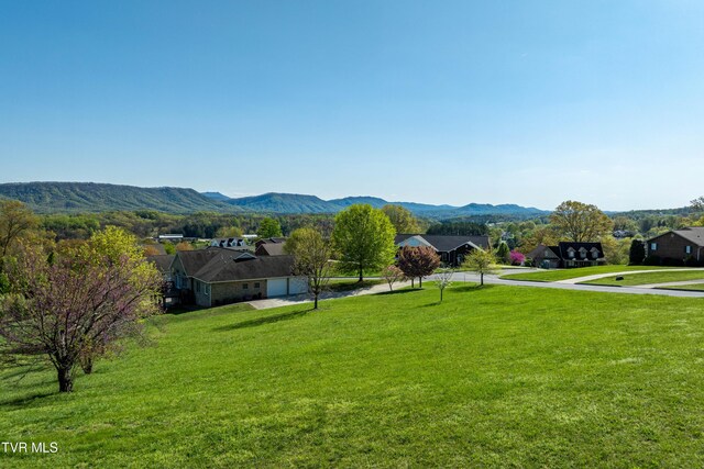 307 Carrie Cir, Mount Carmel, TN 37645 - photo 13