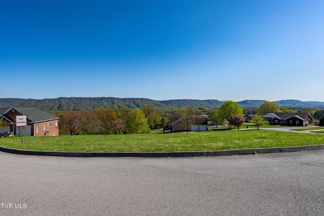 307 Carrie Cir, Mount Carmel, TN 37645 - photo 20