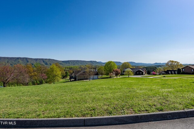 307 Carrie Cir, Mount Carmel, TN 37645 - photo 21