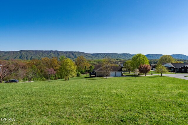 307 Carrie Cir, Mount Carmel, TN 37645 - photo 22