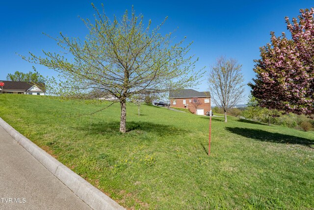 307 Carrie Cir, Mount Carmel, TN 37645 - photo 26