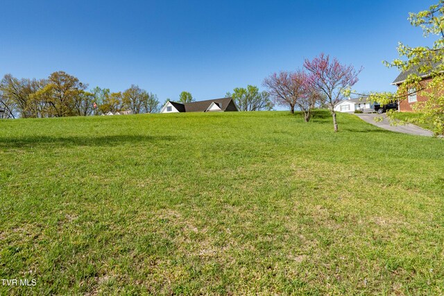 307 Carrie Cir, Mount Carmel, TN 37645 - photo 28