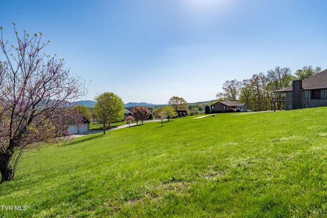 307 Carrie Cir, Mount Carmel, TN 37645 - photo 29