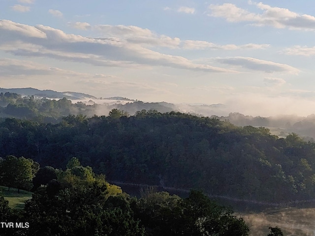 property view of mountains featuring a wooded view