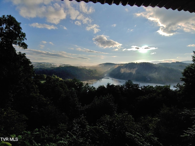 mountain view with a forest view and a water view