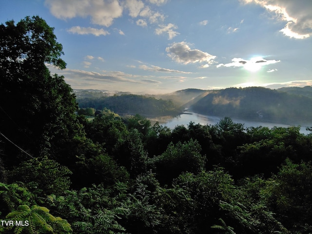 property view of mountains with a water view and a view of trees