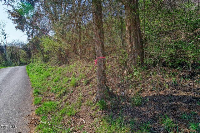 000 Sensabaugh Hollow Rd, Church Hill, TN 37642