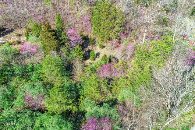 000 Sensabaugh Hollow Rd, Church Hill, TN 37642