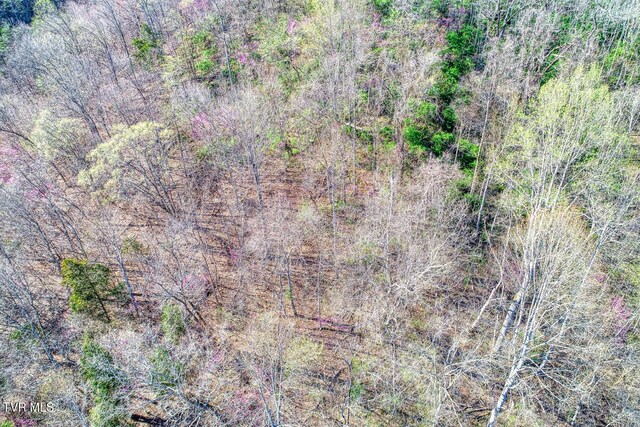 000 Sensabaugh Hollow Rd, Church Hill, TN 37642