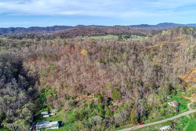000 Sensabaugh Hollow Rd, Church Hill, TN 37642