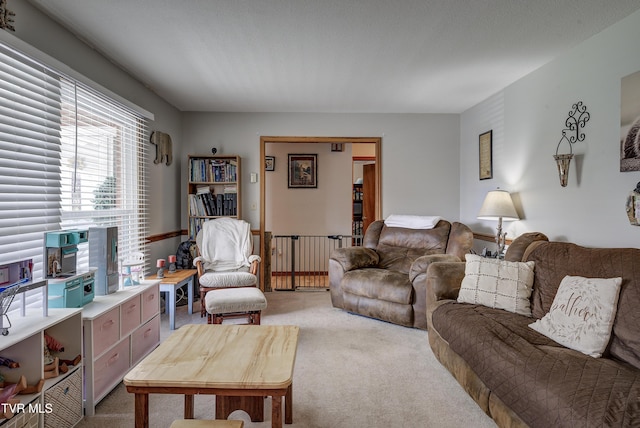 216 Nelson Ave, Piney Flats, TN 37686 - living area featuring light carpet