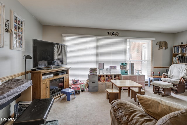 216 Nelson Ave, Piney Flats, TN 37686 - living room featuring light colored carpet
