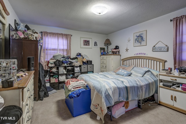 216 Nelson Ave, Piney Flats, TN 37686 - bedroom with carpet flooring and a textured ceiling