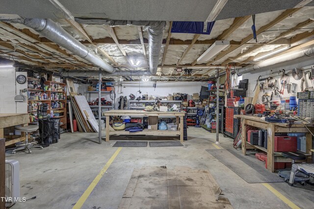 216 Nelson Ave, Piney Flats, TN 37686 - basement featuring a workshop area