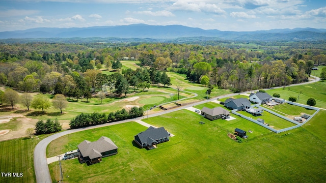 280 Green Lawn Ave, Greeneville, TN 37743 - photo 32