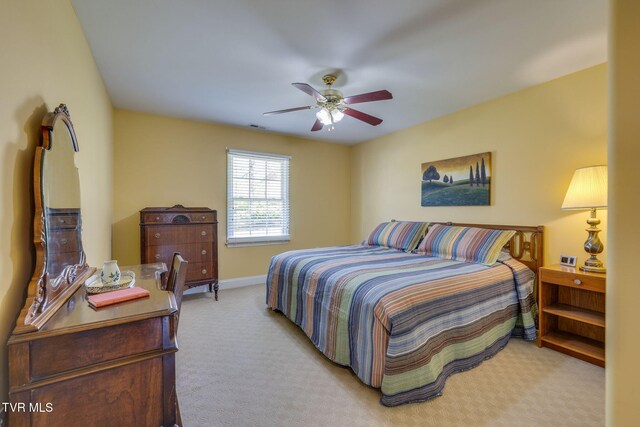 3909 Leaf Pt, Kingsport, TN 37663 - photo 37