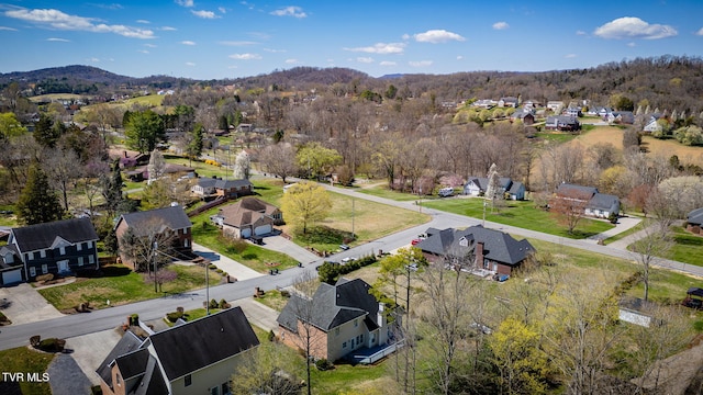 3909 Leaf Pt, Kingsport, TN 37663 - photo 4