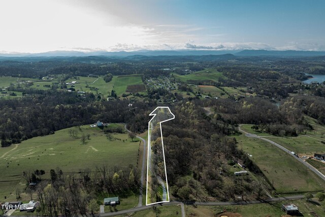 403 Deerlick Rd, Piney Flats, TN 37686 - aerial view with a mountain view, a view of trees, and a rural view