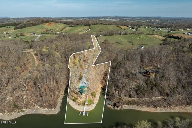 403 Deerlick Rd, Piney Flats, TN 37686 - birds eye view of property with a water view