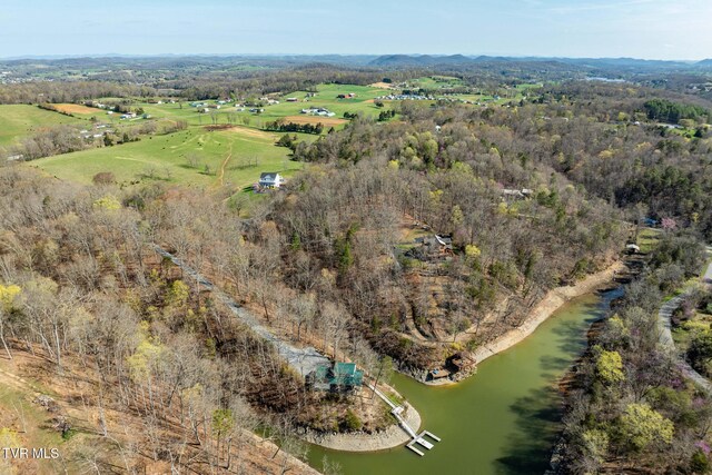 403 Deerlick Rd, Piney Flats, TN 37686 - aerial view featuring a wooded view