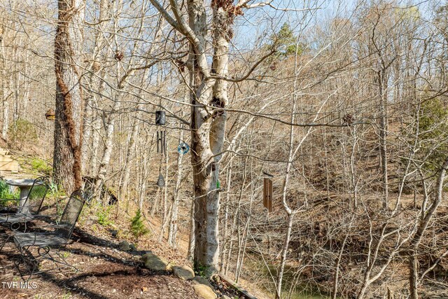 403 Deerlick Rd, Piney Flats, TN 37686 - view of nature