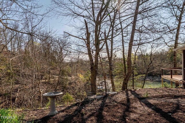 403 Deerlick Rd, Piney Flats, TN 37686 - view of yard with a forest view