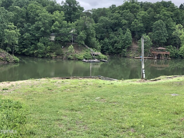 403 Deerlick Rd, Piney Flats, TN 37686 - property view of water