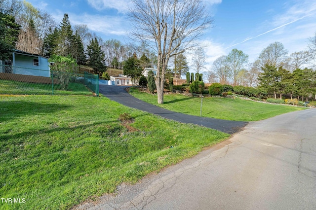 166 Lonesome Dove Ln, Elizabethton, TN 37643 - view of street