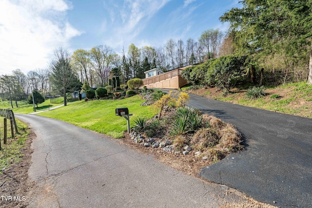 166 Lonesome Dove Ln, Elizabethton, TN 37643 - view of street featuring aphalt driveway