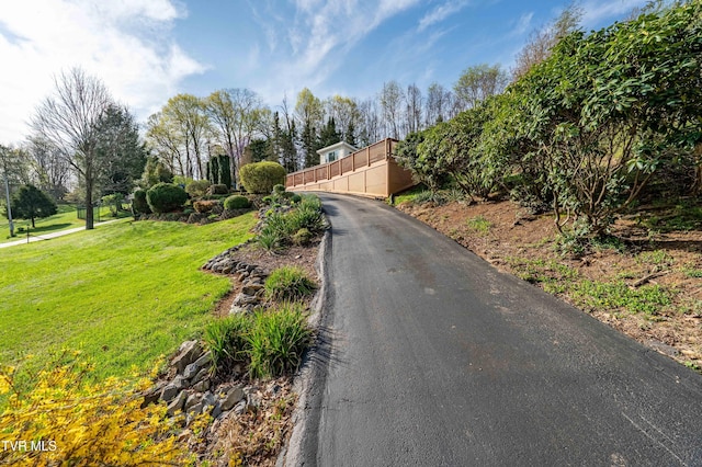 166 Lonesome Dove Ln, Elizabethton, TN 37643 - view of street with driveway