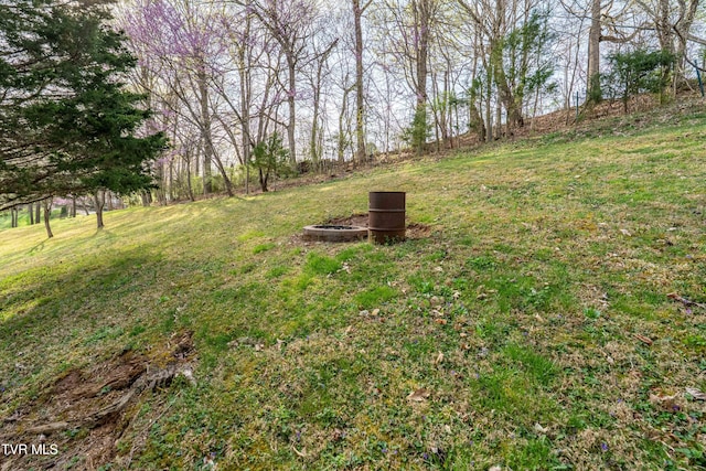 166 Lonesome Dove Ln, Elizabethton, TN 37643 - view of yard