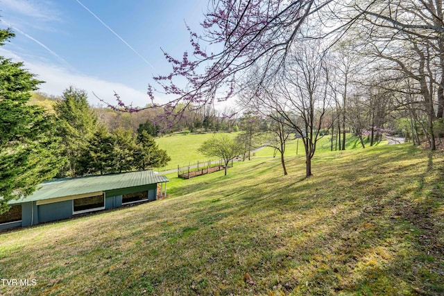 166 Lonesome Dove Ln, Elizabethton, TN 37643 - view of yard with an outbuilding