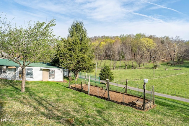 166 Lonesome Dove Ln, Elizabethton, TN 37643 - view of yard with a garden