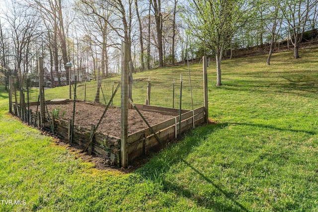 166 Lonesome Dove Ln, Elizabethton, TN 37643 - view of yard featuring a garden
