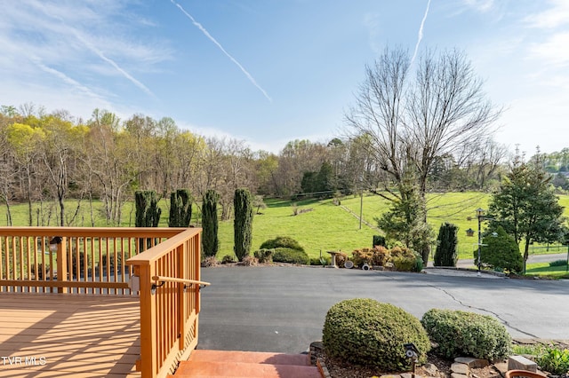 166 Lonesome Dove Ln, Elizabethton, TN 37643 - exterior space featuring a deck and a lawn