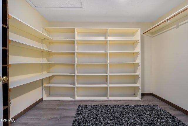 166 Lonesome Dove Ln, Elizabethton, TN 37643 - interior space with dark wood-style flooring