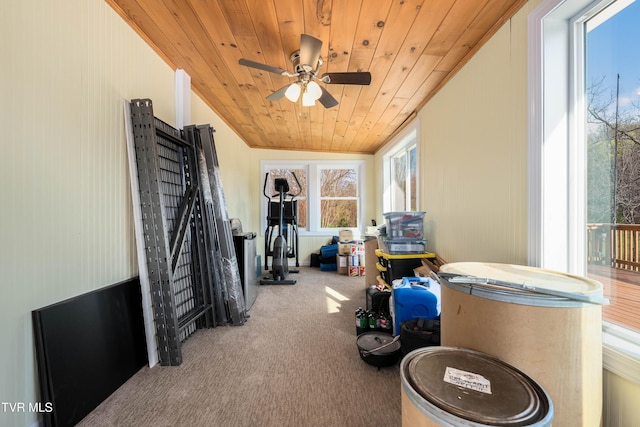 166 Lonesome Dove Ln, Elizabethton, TN 37643 - view of sunroom / solarium