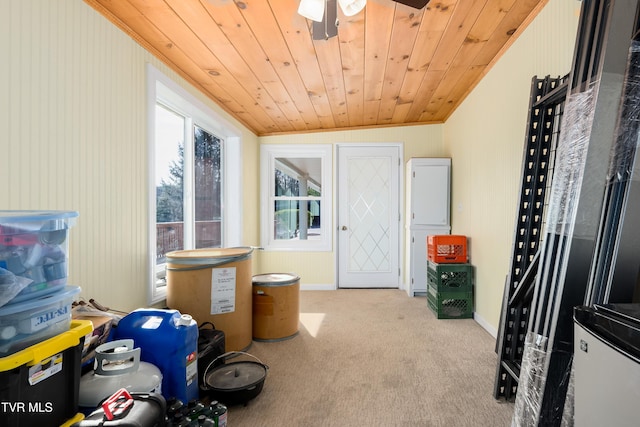 166 Lonesome Dove Ln, Elizabethton, TN 37643 - interior space with ceiling fan