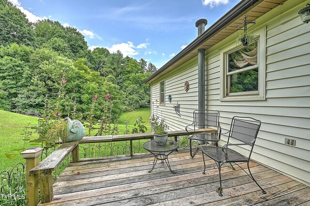 28248 Hillman Hwy, Meadowview, VA 24361 - photo 51