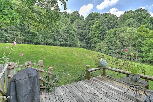 28248 Hillman Hwy, Meadowview, VA 24361 - photo 52