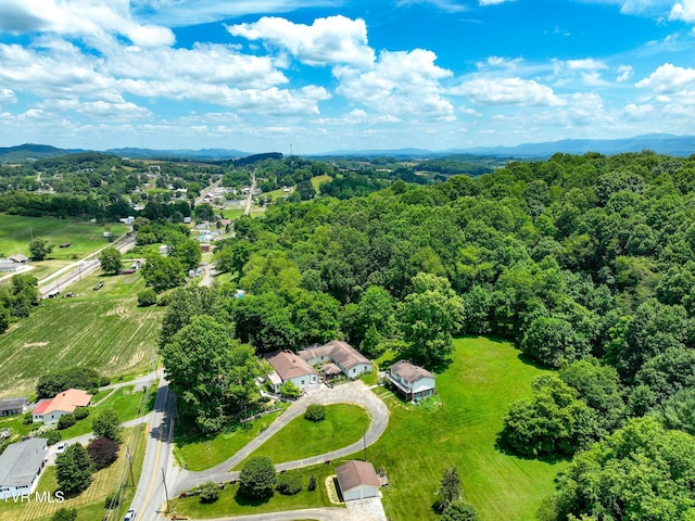 28248 Hillman Hwy, Meadowview, VA 24361 - photo 109